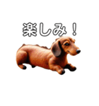 ふわふわフェルト〜ダックスフンド日時会話（個別スタンプ：14）