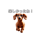ふわふわフェルト〜ダックスフンド日時会話（個別スタンプ：22）