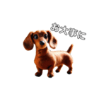 ふわふわフェルト〜ダックスフンド日時会話（個別スタンプ：25）
