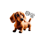 ふわふわフェルト〜ダックスフンド日時会話（個別スタンプ：35）