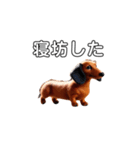 ふわふわフェルト〜ダックスフンド日時会話（個別スタンプ：38）