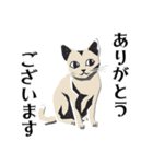 版画シャム猫！ 敬語！(版画Vol.3)（個別スタンプ：2）