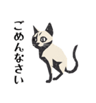 版画シャム猫！ 敬語！(版画Vol.3)（個別スタンプ：5）