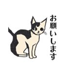 版画シャム猫！ 敬語！(版画Vol.3)（個別スタンプ：15）