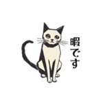 版画シャム猫！ 敬語！(版画Vol.3)（個別スタンプ：24）