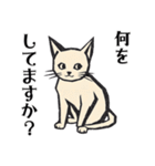 版画シャム猫！ 敬語！(版画Vol.3)（個別スタンプ：28）