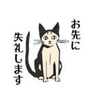 版画シャム猫！ 敬語！(版画Vol.3)（個別スタンプ：34）