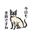 版画シャム猫！ 敬語！(版画Vol.3)（個別スタンプ：40）