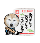 柴犬さくちゃんの日常（個別スタンプ：29）