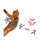 キーちゃんの雷櫻（個別スタンプ：2）