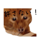 キーちゃんの雷櫻（個別スタンプ：9）