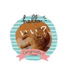 キーちゃんの雷櫻（個別スタンプ：14）