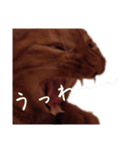 キーちゃんの雷櫻（個別スタンプ：16）