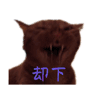 キーちゃんの雷櫻（個別スタンプ：17）