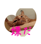 キーちゃんの雷櫻（個別スタンプ：20）