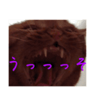 キーちゃんの雷櫻（個別スタンプ：28）