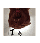キーちゃんの雷櫻（個別スタンプ：29）