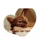 キーちゃんの雷櫻（個別スタンプ：30）
