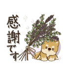 柴犬・茶色い犬さん【草花と一緒】2024（個別スタンプ：18）