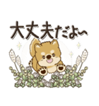 柴犬・茶色い犬さん【草花と一緒】2024（個別スタンプ：24）