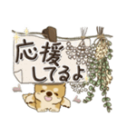 柴犬・茶色い犬さん【草花と一緒】2024（個別スタンプ：31）