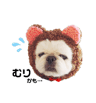 Qちゃんズらぶシーズン2（個別スタンプ：3）
