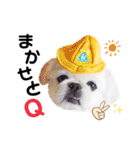 Qちゃんズらぶシーズン2（個別スタンプ：4）