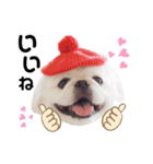 Qちゃんズらぶシーズン2（個別スタンプ：6）