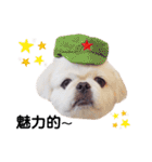 Qちゃんズらぶシーズン2（個別スタンプ：8）
