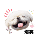 Qちゃんズらぶシーズン2（個別スタンプ：10）
