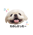 Qちゃんズらぶシーズン2（個別スタンプ：18）
