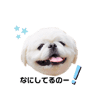 Qちゃんズらぶシーズン2（個別スタンプ：20）