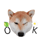 とくだらけ（個別スタンプ：13）
