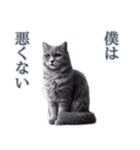 口の悪い野良猫（個別スタンプ：7）