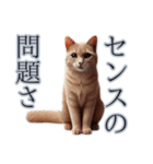 口の悪い野良猫（個別スタンプ：10）