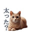 口の悪い野良猫（個別スタンプ：14）