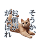 口の悪い野良猫（個別スタンプ：15）