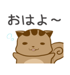 猫みたいなリスのスタンプ（個別スタンプ：1）