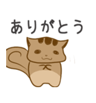 猫みたいなリスのスタンプ（個別スタンプ：5）