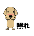 大きな文字 優しい気づかい 犬好きさんへ（個別スタンプ：3）