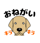 大きな文字 優しい気づかい 犬好きさんへ（個別スタンプ：5）