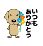 大きな文字 優しい気づかい 犬好きさんへ（個別スタンプ：12）