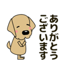 大きな文字 優しい気づかい 犬好きさんへ（個別スタンプ：13）