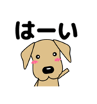 大きな文字 優しい気づかい 犬好きさんへ（個別スタンプ：14）