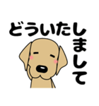 大きな文字 優しい気づかい 犬好きさんへ（個別スタンプ：15）