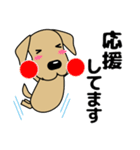 大きな文字 優しい気づかい 犬好きさんへ（個別スタンプ：16）