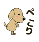 大きな文字 優しい気づかい 犬好きさんへ（個別スタンプ：17）