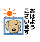 大きな文字 優しい気づかい 犬好きさんへ（個別スタンプ：19）