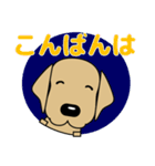 大きな文字 優しい気づかい 犬好きさんへ（個別スタンプ：21）