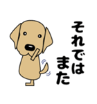 大きな文字 優しい気づかい 犬好きさんへ（個別スタンプ：22）